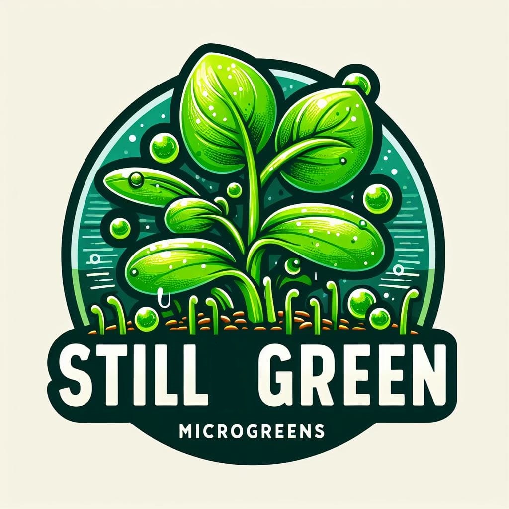 WhatsApp Image 2024-04-24 (1)